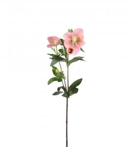 Julros - Rosa - 63 cm - www.frokenfraken.se