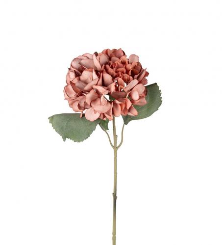 Hortensia - Brun - 56 cm - www.frokenfraken.se