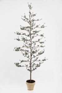 Lärkträd - - 180 cm - www.frokenfraken.se
