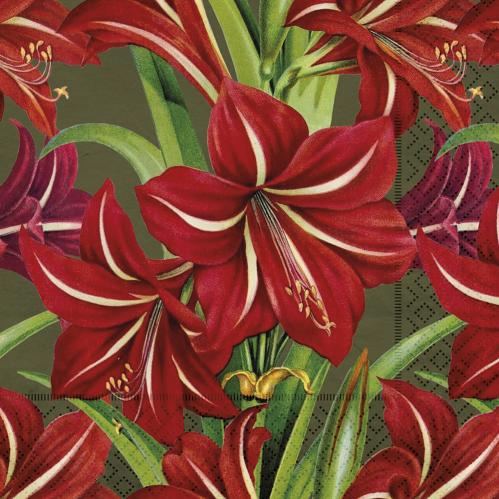 Servett - Amaryllis - 33 x 33 cm - www.frokenfraken.se