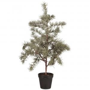 Lärkträd Naturtroget - 60 cm - www.frokenfraken.se