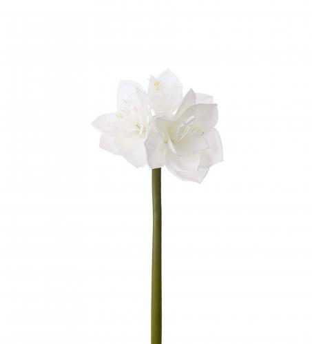 Amaryllis - Vit - 60 cm - www.frokenfraken.se