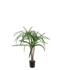 Dracena - Grön - 90 cm - www.frokenfraken.se