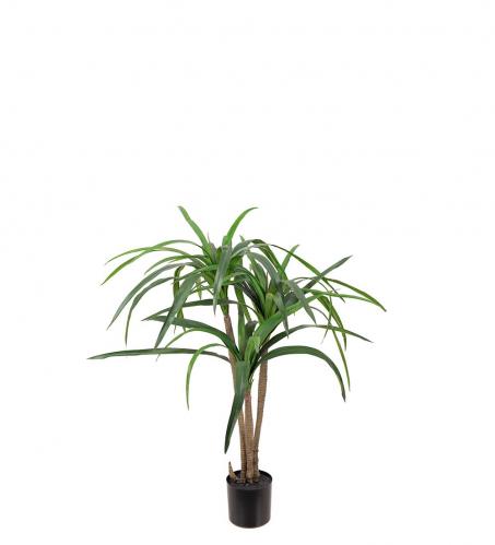 Dracena - Grn - 90 cm - www.frokenfraken.se