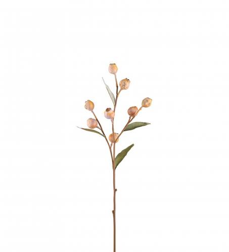 Eucalyptuskvist med br - Beige - 65 cm - www.frokenfraken.se