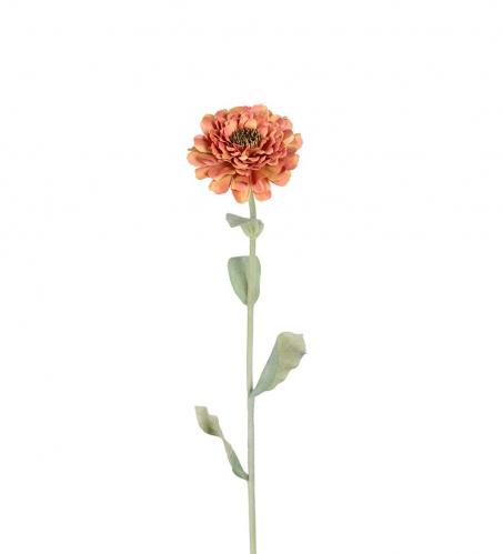 Zinnia - Orange - 58 cm - www.frokenfraken.se