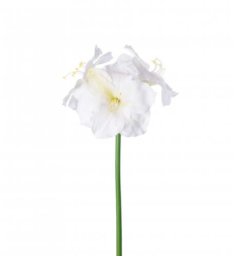 Amaryllis - Cream - 65 cm - www.frokenfraken.se