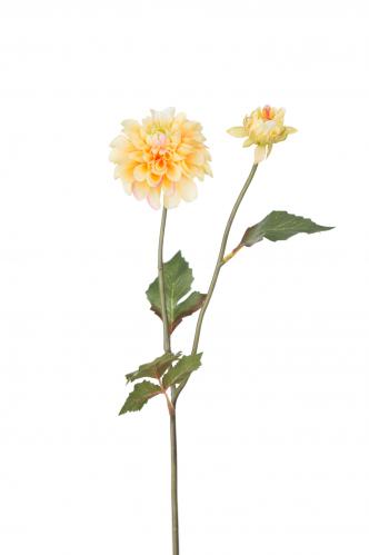 Dahlia - Gul - 50 cm - www.frokenfraken.se