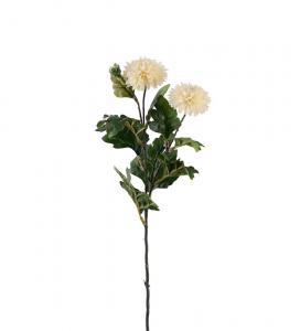 Chrysanthemum - Cream - 53 cm - www.frokenfraken.se