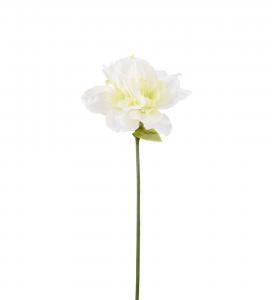 Amaryllis - Vit - 63 cm - www.frokenfraken.se