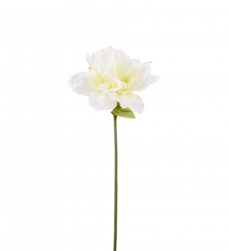 Amaryllis - Vit - 63 cm - www.frokenfraken.se