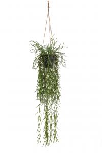 Rhipsalis - Grön - 95 cm - www.frokenfraken.se