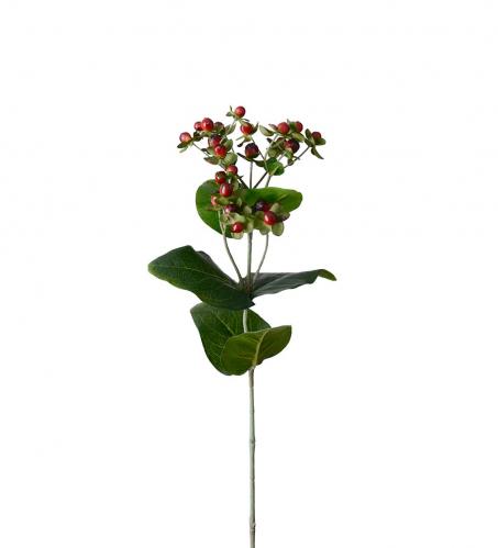 Hypericum - Burgundy - 68 cm - www.frokenfraken.se