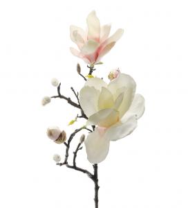 Magnolia - Vit/Rosa - 60 cm - www.frokenfraken.se
