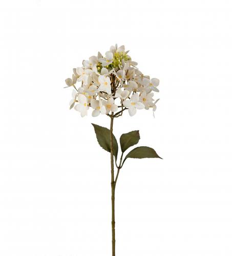 Hortensia - Cream - 65 cm - www.frokenfraken.se