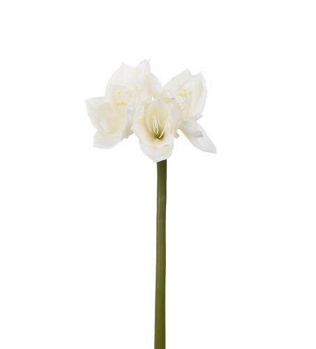 Amaryllis - Cream - 60 cm - www.frokenfraken.se