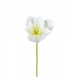 Amaryllis - Vit - 40 cm - www.frokenfraken.se