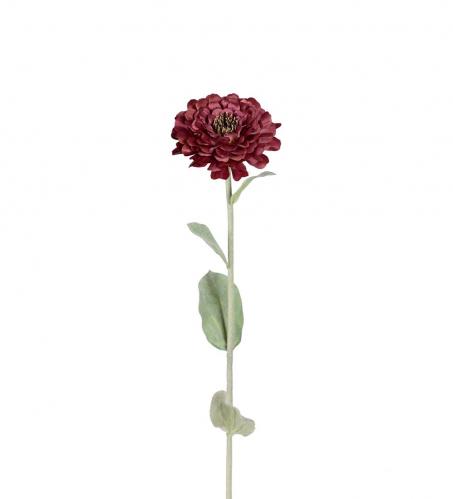 Zinnia - Rd - 58 cm - www.frokenfraken.se