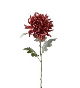 Chrysanthemum - Brun - 60 cm - www.frokenfraken.se