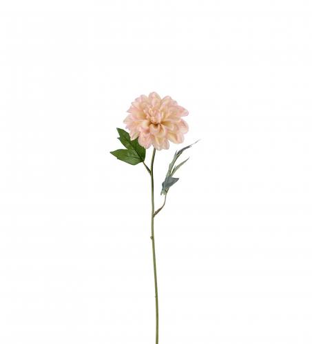 Zinnia - Rosa - 45 cm - www.frokenfraken.se