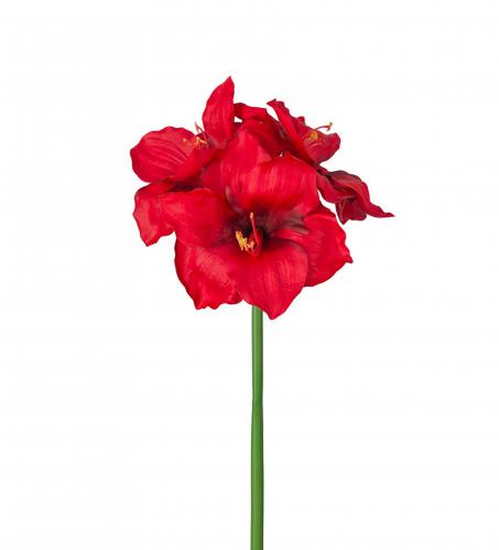 Amaryllis - Rd - 65 cm - www.frokenfraken.se