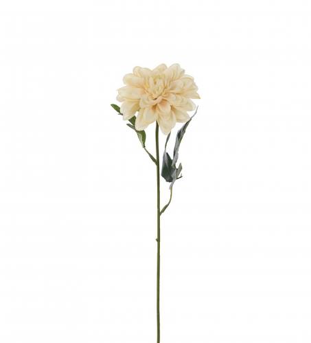 Zinnia - Beige - 45 cm - www.frokenfraken.se