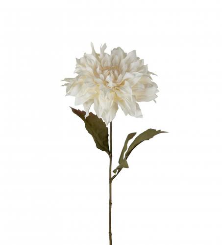 Dahlia - Cream - 60 cm - www.frokenfraken.se