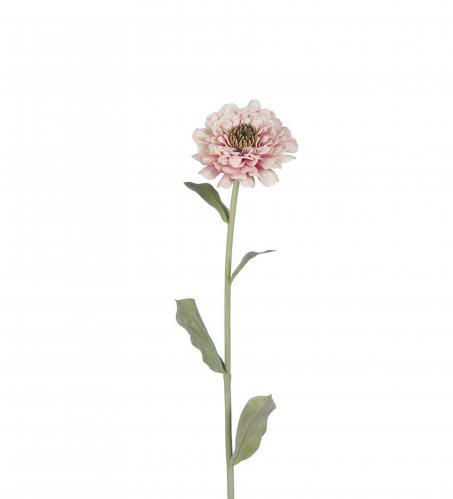 Zinnia - Rosa - 58 cm - www.frokenfraken.se