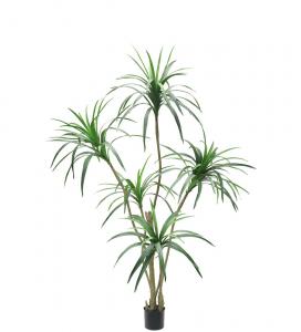 Dracena - Grön - 180 cm - www.frokenfraken.se