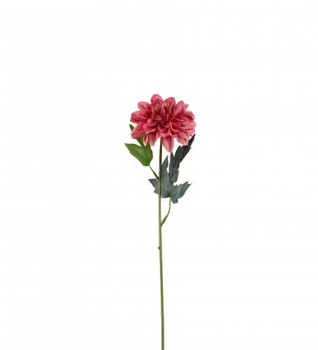 Zinnia - Rosa - 45 cm - www.frokenfraken.se