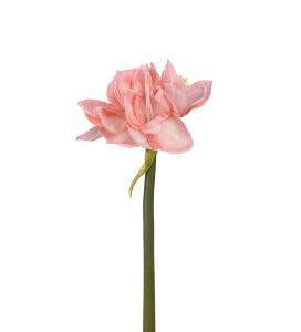 Amaryllis - Rosa - 60 cm - www.frokenfraken.se