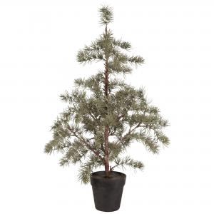 Lärkträd Naturtroget - 80 cm - www.frokenfraken.se