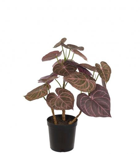 Anthurium - Grn/rd - 65 cm - www.frokenfraken.se