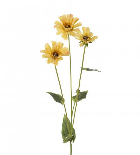 Zinnia - Gul - 65 cm - www.frokenfraken.se