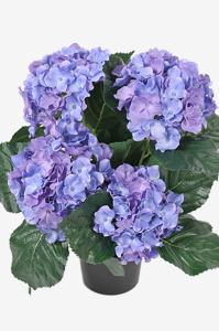 Hortensia - Blå - 37 cm - www.frokenfraken.se