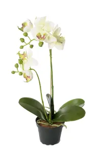 Phalaenopsis - Orkidé Vit - Konstväxt - 42 cm - www.frokenfraken.se