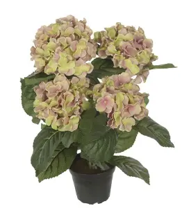 Hortensia - Rosa - 37 cm - www.frokenfraken.se