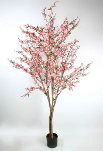 Körsbärsträd - 180 cm - Rosa - www.frokenfraken.se