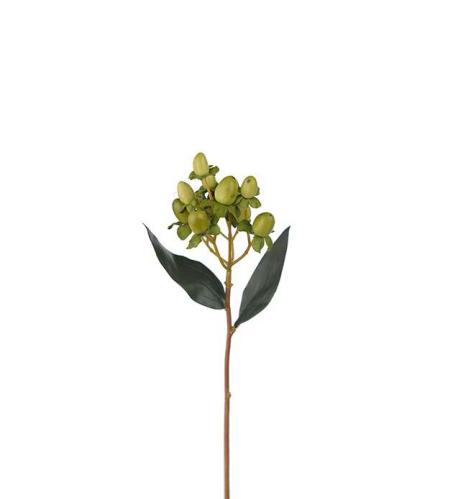 Bärkvist - Hypericum - Grön - 28 cm - www.frokenfraken.se