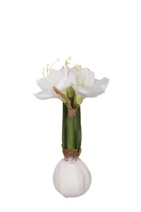 Amaryllis i vax - Vit - 30 cm - www.frokenfraken.se