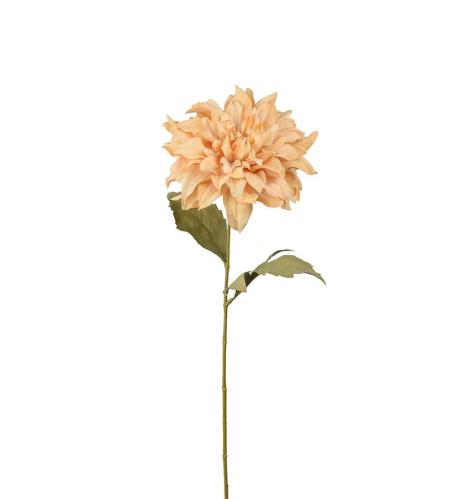 Dahlia - Beige - 60 cm - www.frokenfraken.se