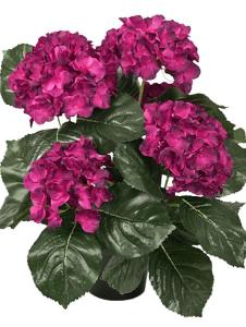 Hortensia - Mörklila - 37 cm - www.frokenfraken.se