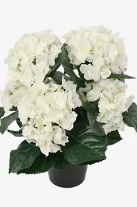 Hortensia - Vit - 37 cm - www.frokenfraken.se