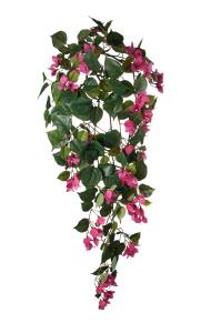 Bougainvillea - Rosa - 115 cm - www.frokenfraken.se