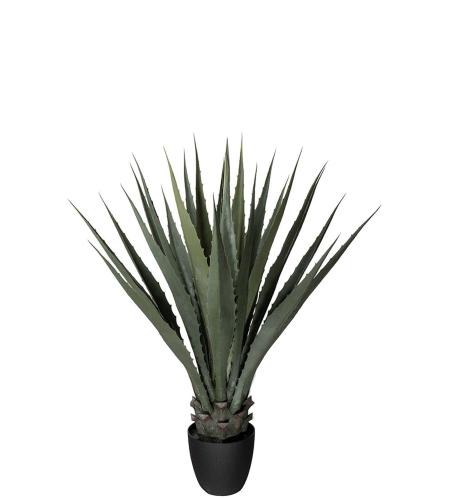 Agave - Grön - 100 cm - www.frokenfraken.se