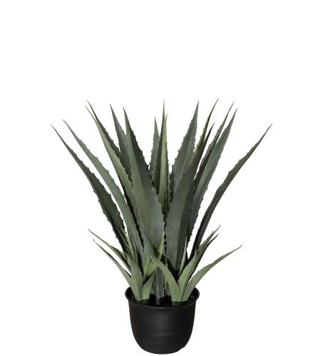 Agave - Grön - 100 cm - www.frokenfraken.se