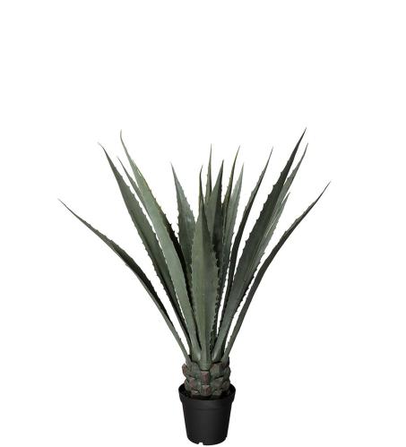 Agave - Grön - 120 cm - www.frokenfraken.se