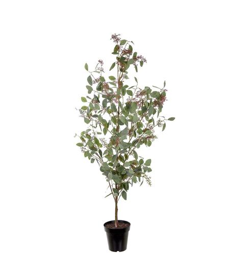 Eucalyptus - Grå - 175 cm - www.frokenfraken.se