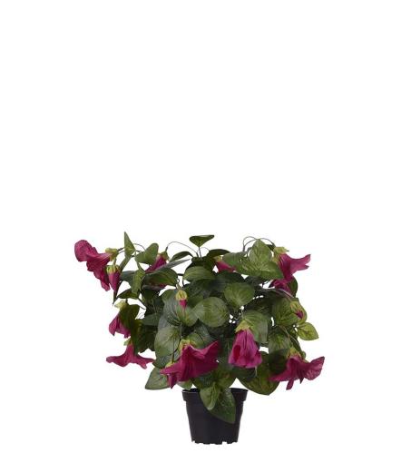 Petunia - Fuchsia - 30 cm - www.frokenfraken.se