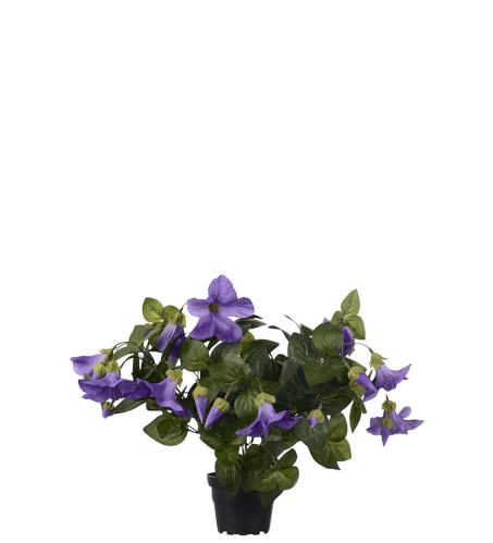 Petunia - Lila - 30 cm - www.frokenfraken.se